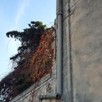 Bonifica e smaltimento grondaie e pluviali in eternit Bonifica e smaltimento grondaie e pluviali in eternit